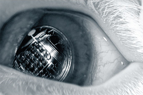 augmented reality contact lens
