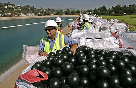 Ivanhoe reservoir black balls bromate