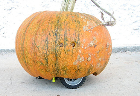robot pumpkin