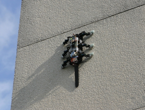 rise climbing robot