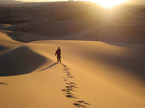 wandering in desert