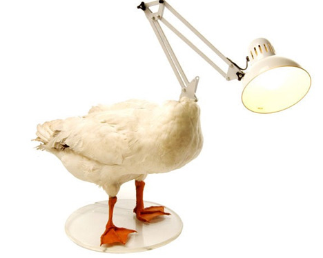errazuriz duck lamp