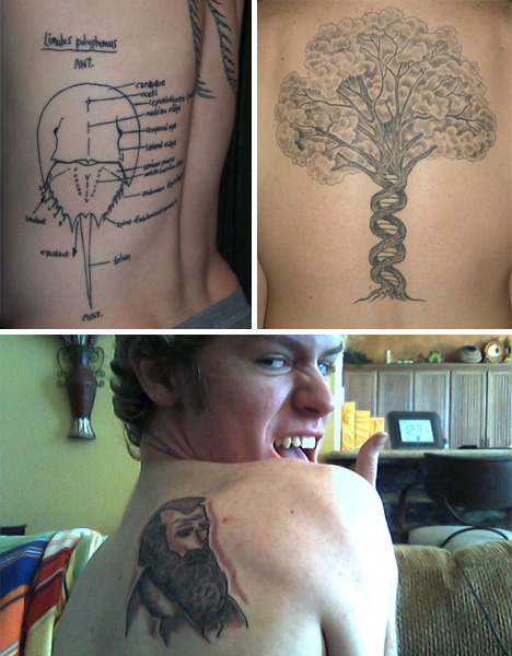 Scientific Illustration Tattoo “The quantum (fig.2)