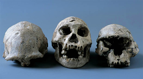 georgia skulls