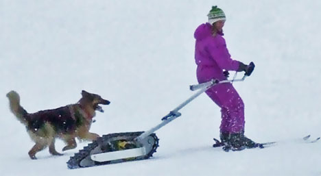 motorized ski bike