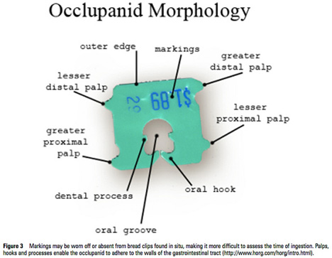 https://gajitz.com/wp-content/uploads/2011/09/bread-clip-classification-2.jpg