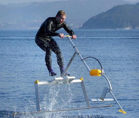 fun bug water toy