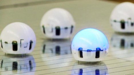 droplet swarming robots