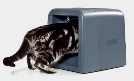 Meow Fix: RFID-Equipped Cat Bowl Feeds Only the Right Cat | Gadgets