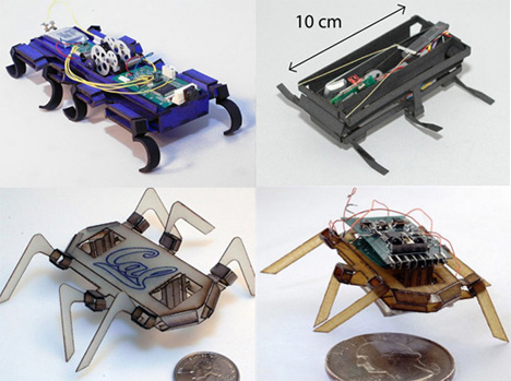 biomimetic robots