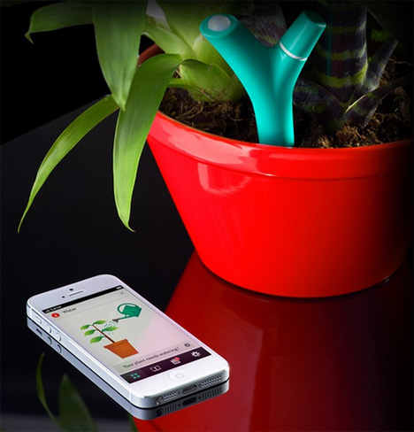 flower power wireless houseplant sensor