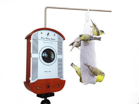 high tech bird watching