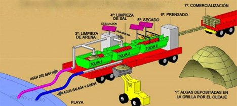 seaweed biomass recycler