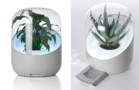 plant based air purifier