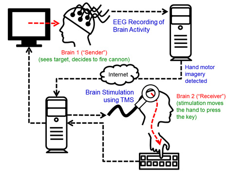 brain to brain interface