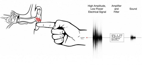 listen to sounds using finger in the ear