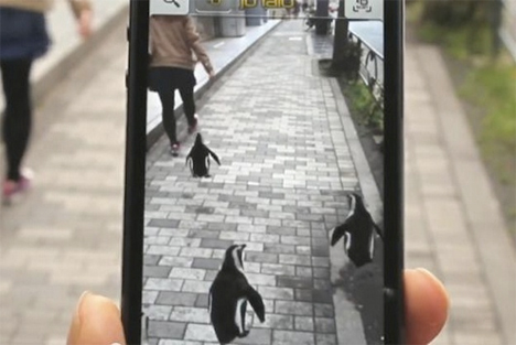 penguin NAVI app