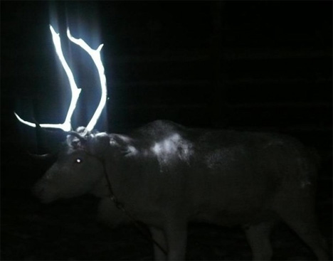 glowing reindeer antlers