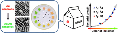 milk e coli bacteria growth