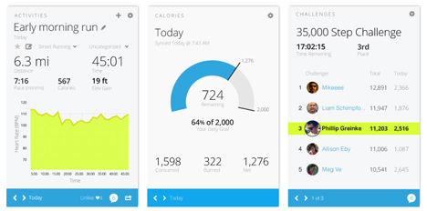 vivofit app stats