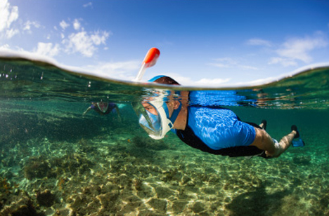 redesigned full face snorkel mask