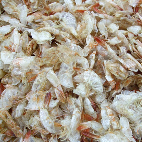 shrimp shells