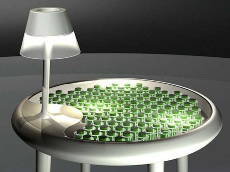 bio moss table diagram