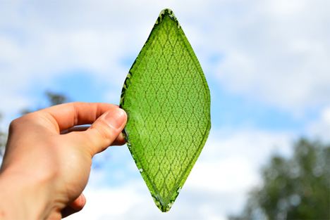 julian melchiorri silk leaf photosynthetic bio leaf