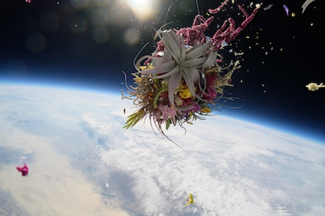 bouquet disintegrating in space