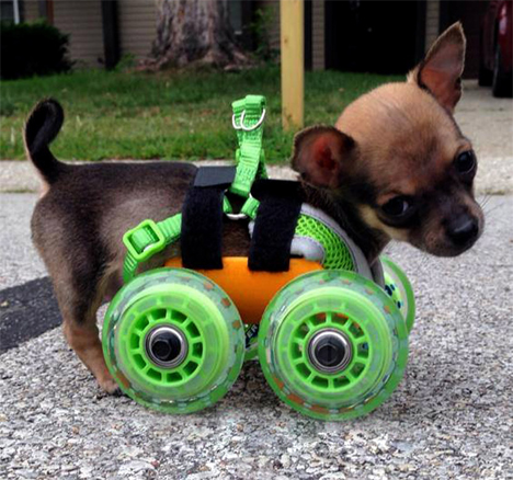 four wheeled 3d printed cart