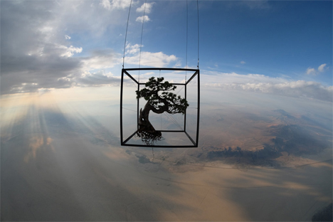 japanese artist launches plants into space