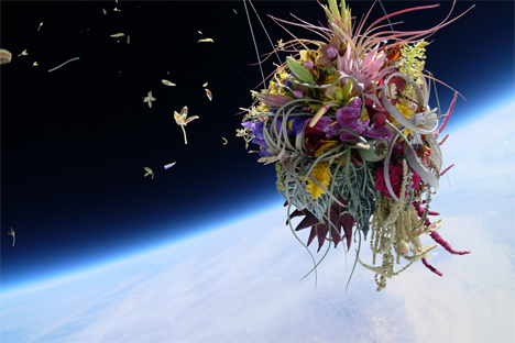 orchid bouquet falling apart in space