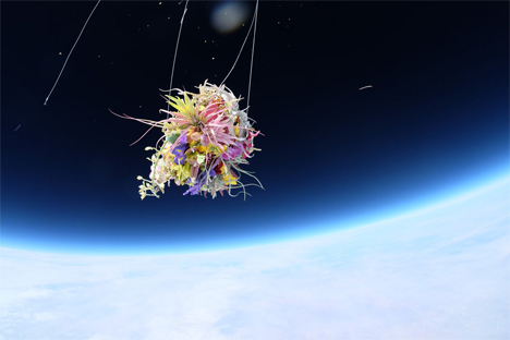 orchid flower bouquet in space