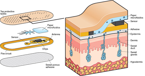 adhesive skin patch measures health through sweat