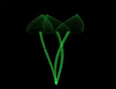 mushrooms drawn on oscilloscope