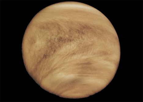 venus