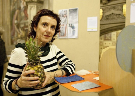 ananas anam carmen hijosa