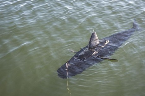 ghostswimmer shark drone