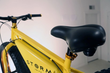 swappable battery electric bike