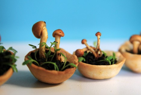 edible 3d printed mushrooms