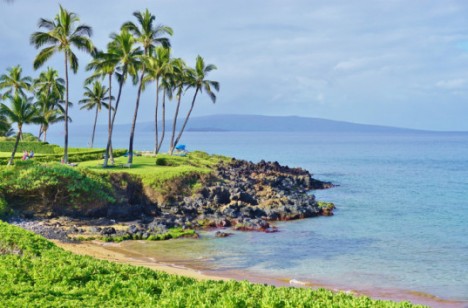 hawaii sustainable energy future