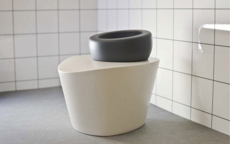 toilet design health