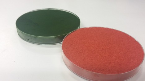 bioproduct algae foam
