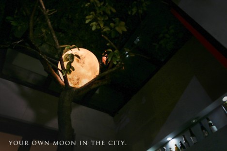 moon in the city