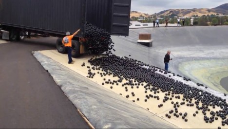 plastic ball pit dump