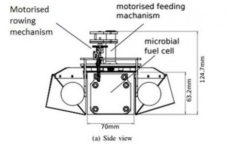 row bot diagram