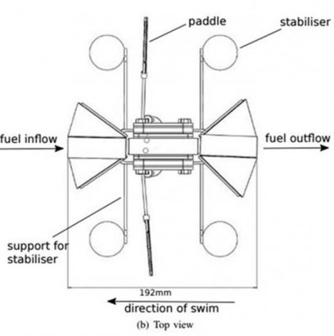 row bot side view