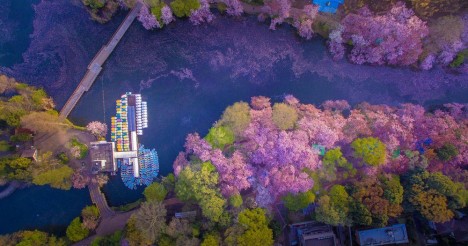 cherry lake above